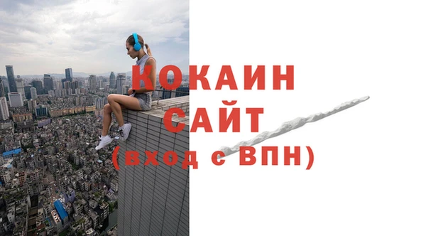 твердый Коряжма