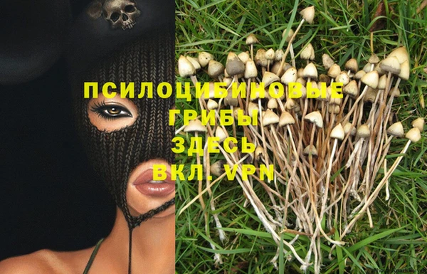 мет Кодинск