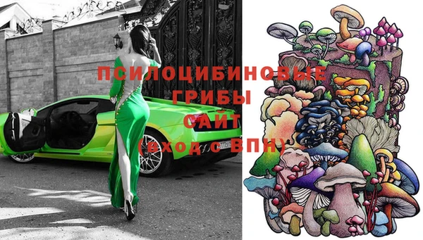 ешки Козельск