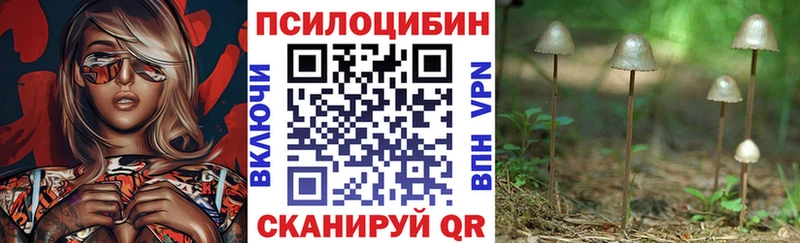 цена Красноуральск Галлюциногенные грибы Magic Shrooms